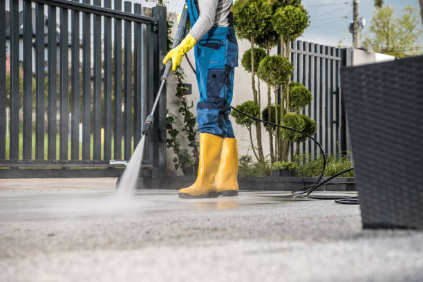 Best Driveway Pressure Washing  in Whitehall, WI